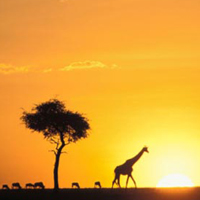 Africa Holidays 